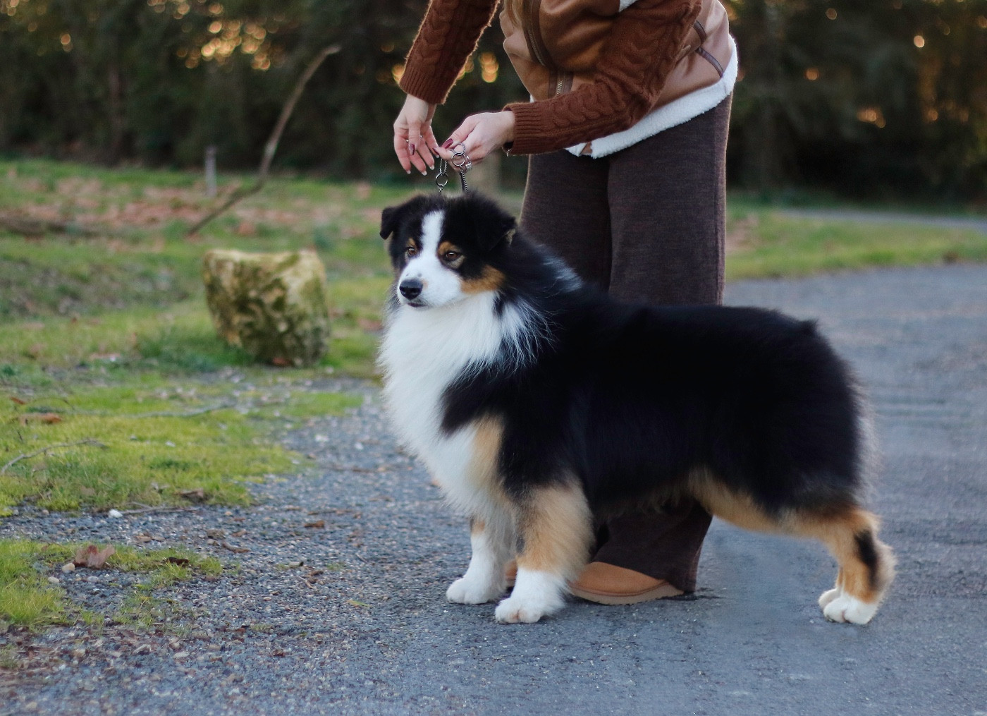emerald-view's Dam-break @beaver run